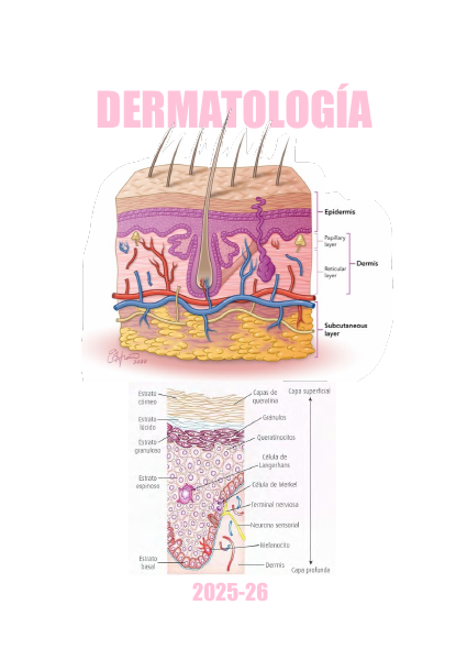 Portada de Dermatología